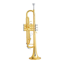 Gold Wind,Brass . Aerophone TRUMPET at Rs 13090 in Mumbai